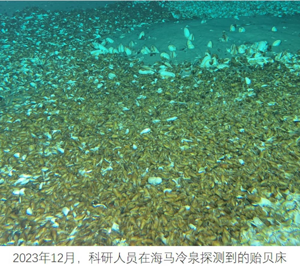 青岛海洋地质研究所：持续攻关 把人类的“感官”放入未知深海