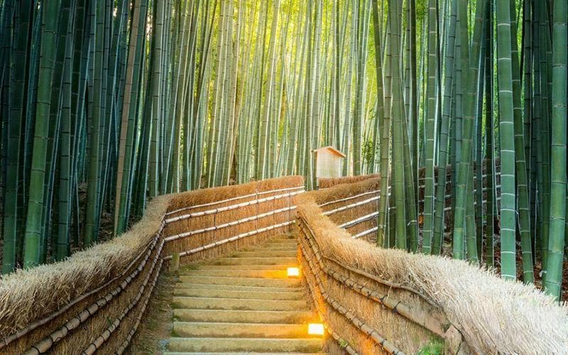 东北人移民日本过的咋样？适应生活与文化差异的真实体验