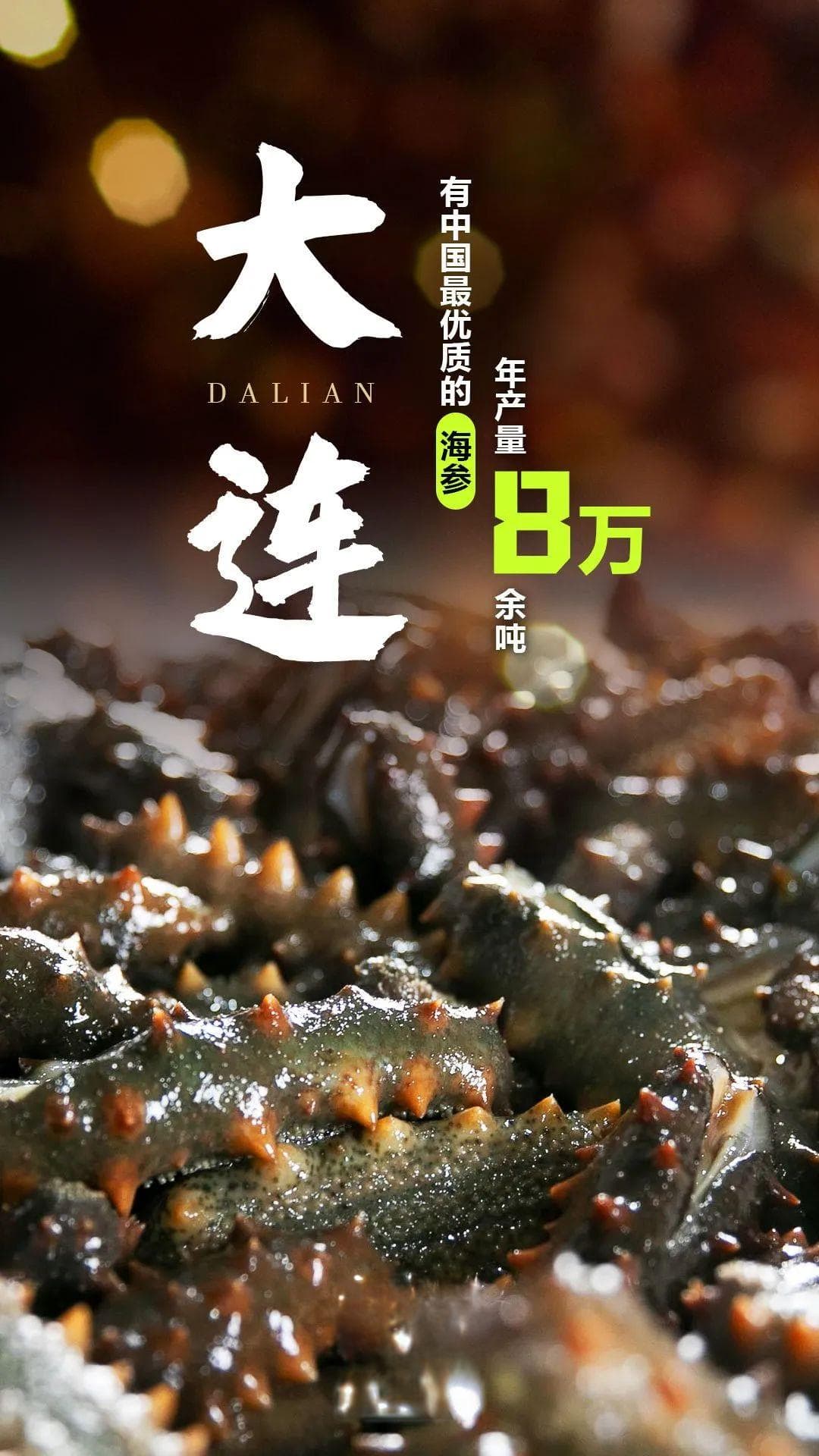 此时大连，遥遥领“鲜”