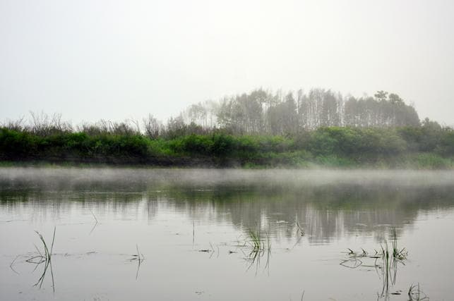 雨水节气：时间、含义、习俗与养生全解析