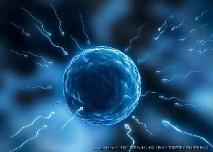 备孕必读：生育检查全攻略