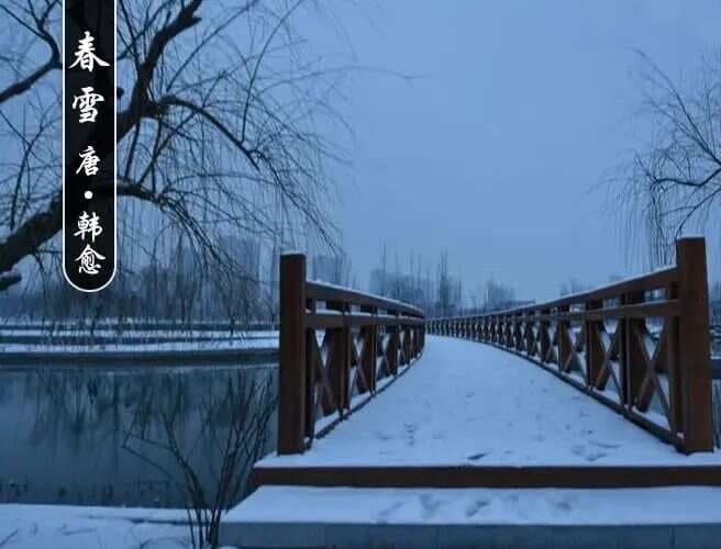 韩愈《春雪》赏析及同步练习