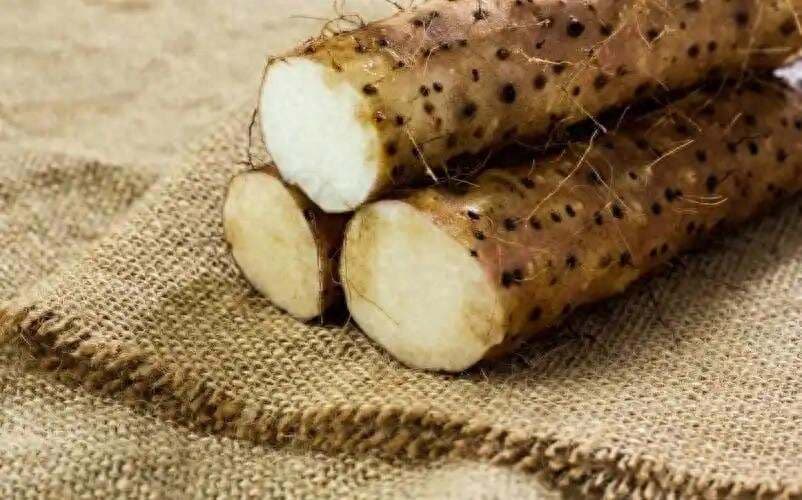 医生发现：每天吃山药的胃病患者，不到半年，身体或有这几大改善