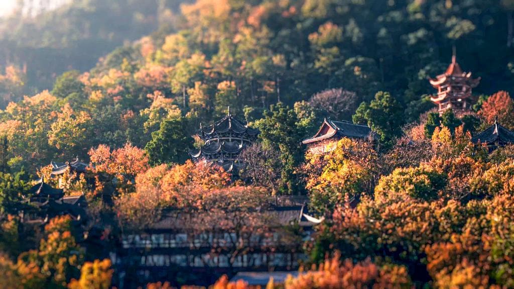 “哇晒”西昌｜泸山：践行“两山”论 厚植发展最美底色