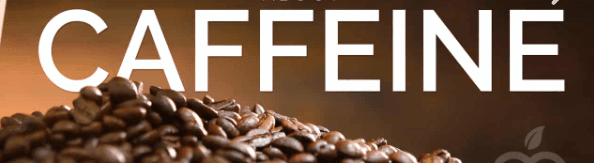 如何在 Spring Boot 项目中集成和使用 Caffeine