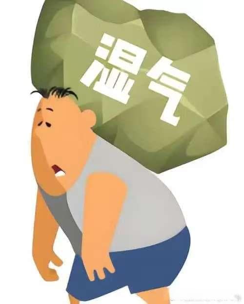 中医视角：认识湿气重