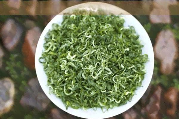 长期饮用茶叶的选择与副作用：一份全面指南