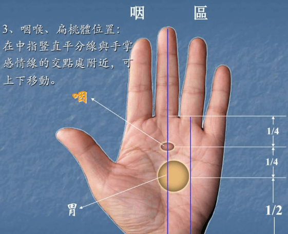 手诊高清定位图，让你一看就会！（果断收藏起来）