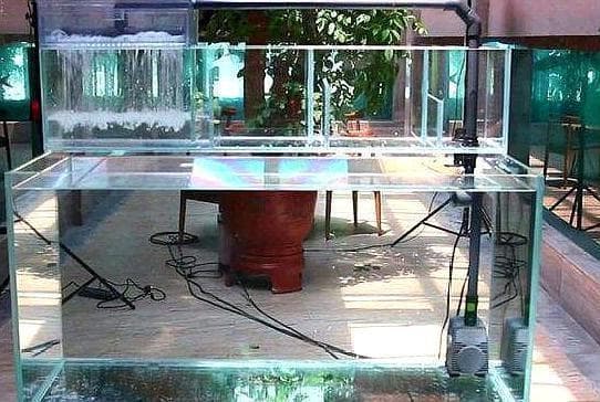 新手养鱼必看！揭秘各种鱼缸过滤的优劣势，教你如何选择最适合的鱼缸