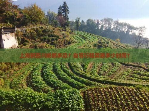 上海到四川都江堰自由行攻略
