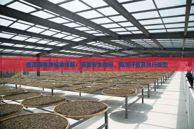 普洱茶检测标准详解：涵盖安全指标、品质评估及执行规范