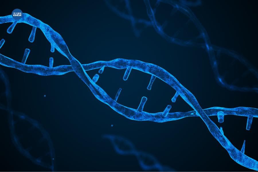 全球最大规模！华大基因联合瑞典乌普萨拉大学等在Nature发布结直肠癌多组学研究