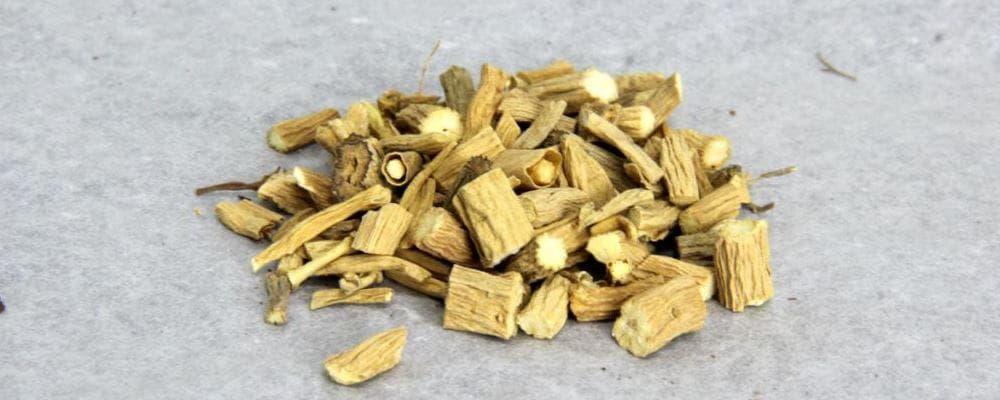 柴胡的功效与药用价值