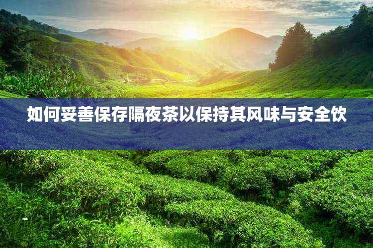 如何妥善保存隔夜茶以保持其风味与安全饮用方法