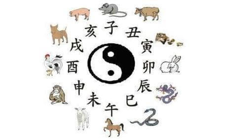 十二生肖相冲相克表，解读传统文化的奥秘