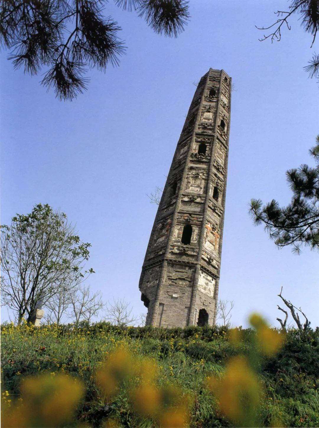 传统村落，何以承载“海派风情”？从古建出发，打造诗意栖居的“沪派江南”