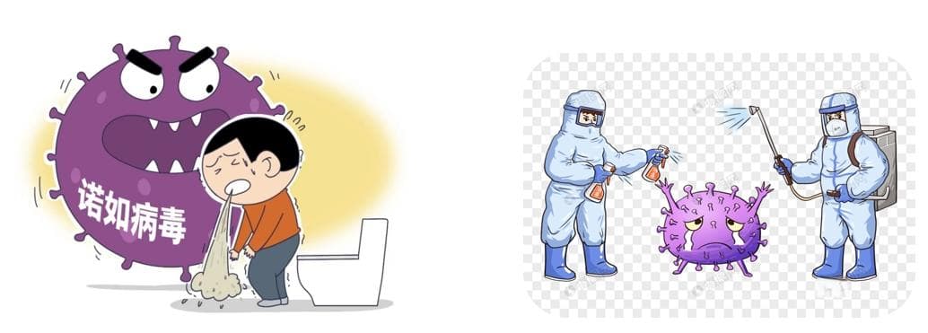 诺如病毒感染防控  ——终末消毒篇