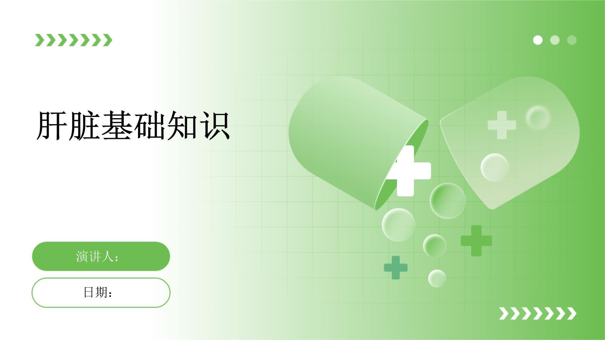 肝脏基础知识