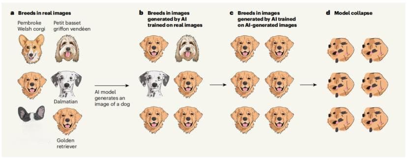 Nature最新封面：AI 训练 AI？也许越来越笨