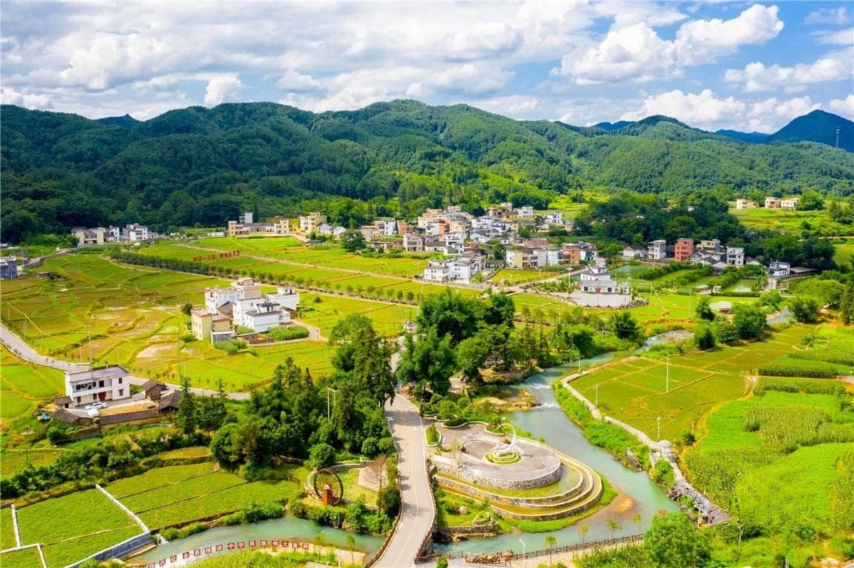 阳山：齐心协力真抓实干，有序有效推进乡村振兴