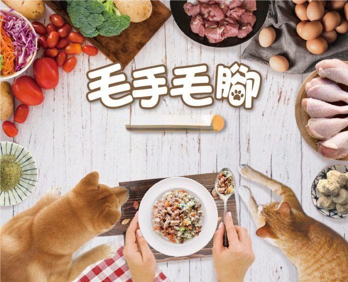 宠物肾病鲜食指南：10个关键注意事项
