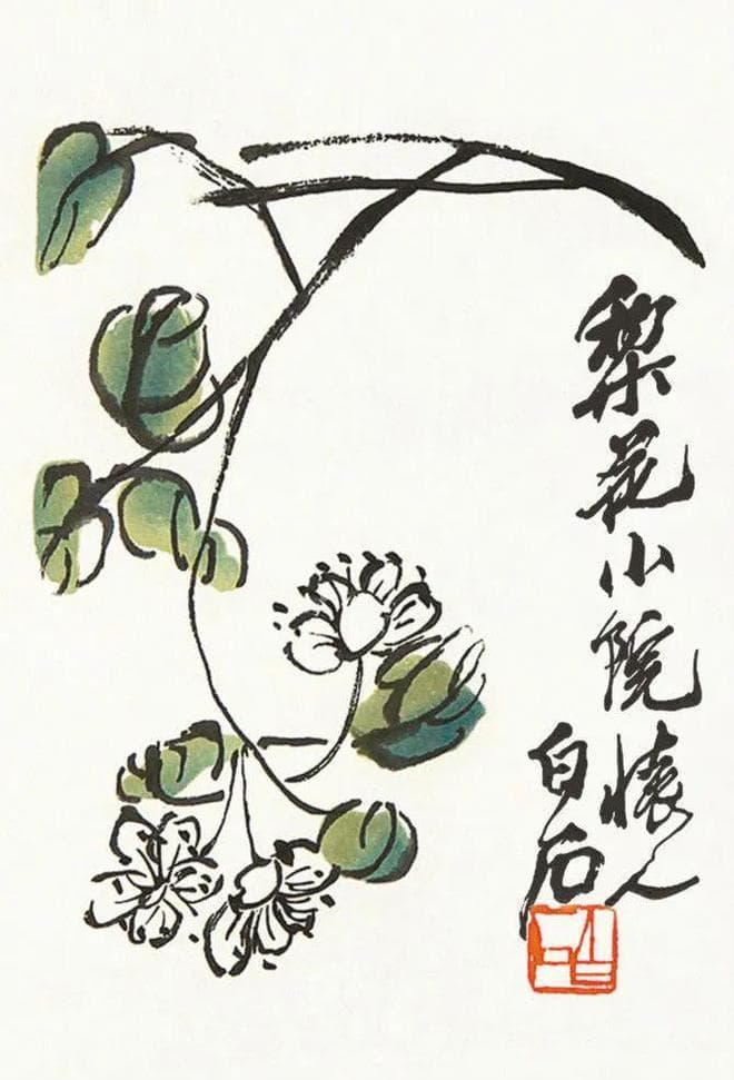 国画中的梨花：朝来带雨一枝春