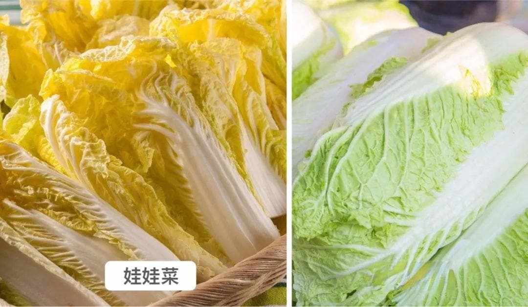 娃娃菜长大了就是大白菜吗？口感与营养的微妙区别
