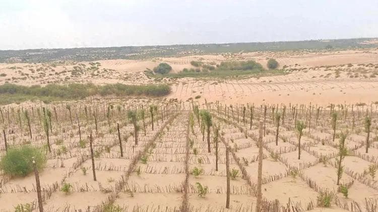 中美印土地沙化面积：印度3亿亩，美国16亿亩，中国是多少？