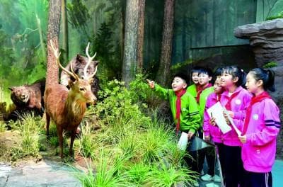 博物馆研学：在行走的课堂中品读世界