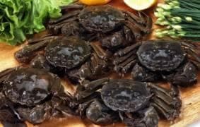 八月海鲜正肥美，12种海鲜做法大全，总有一款适合你