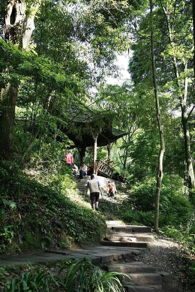冬日苏仙岭攻略：三天两夜玩转郴州第一胜地