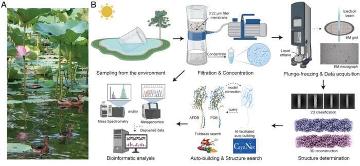 PNAS：颜宁团队以《荷塘月色》为灵感，报道结构生物学研究新范式