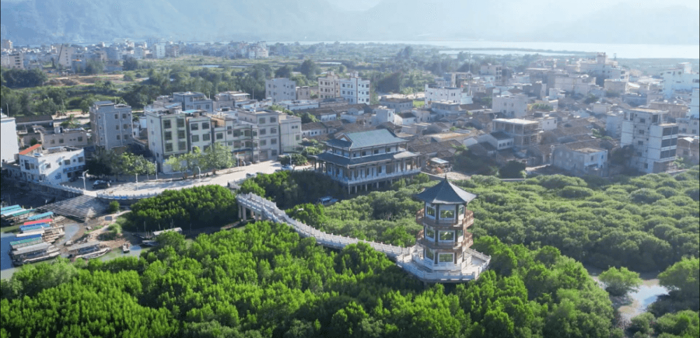惠东黄埠镇白沙村：村集体经济“多点开花” 助力乡村振兴“加速跑”
