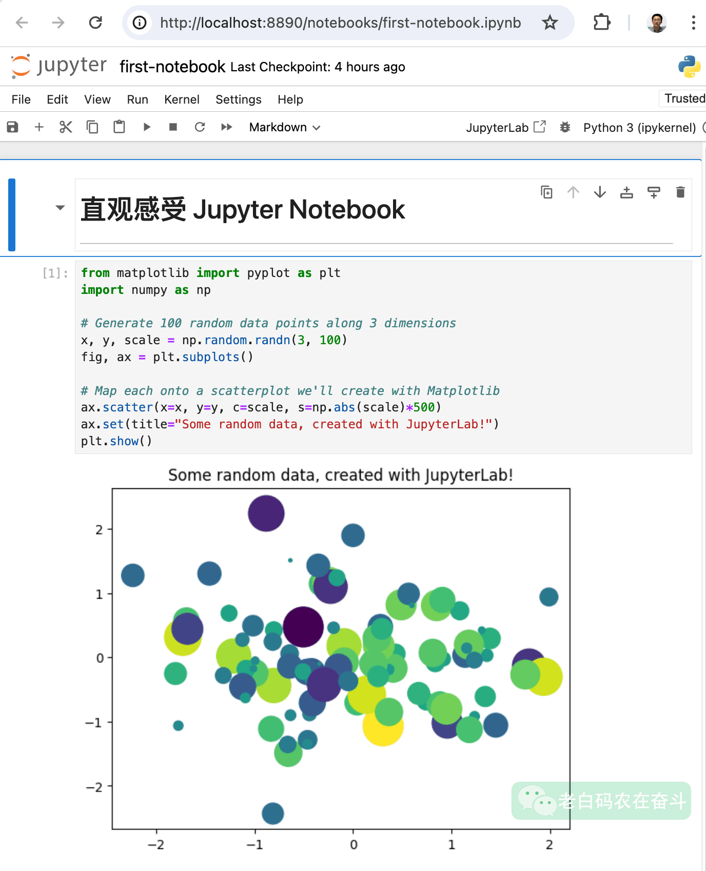 .ipynb 文件格式详解：Jupyter Notebook 的前世今生