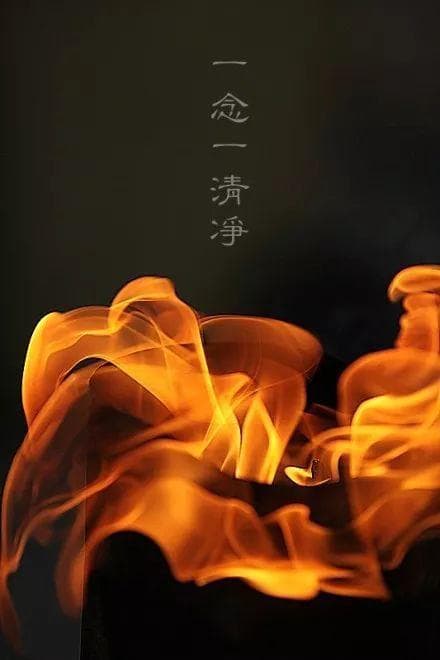 道家与佛家：千年哲学之争