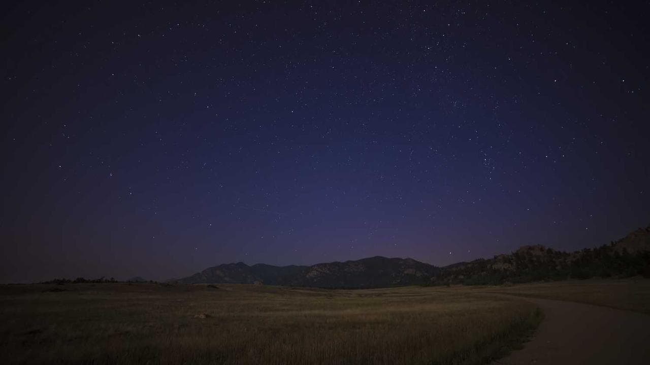 研究生专业实践：连接理论与现实的桥梁