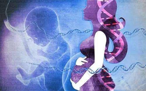 孕期亲子鉴定：如何安全、准确地确认胎儿父亲身份？
