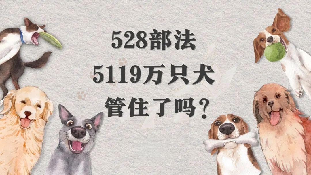 528部法，5119万只犬，管住了吗？