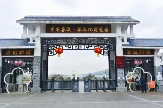 广元苍溪：生态颜值变产值，梨花经济正当时