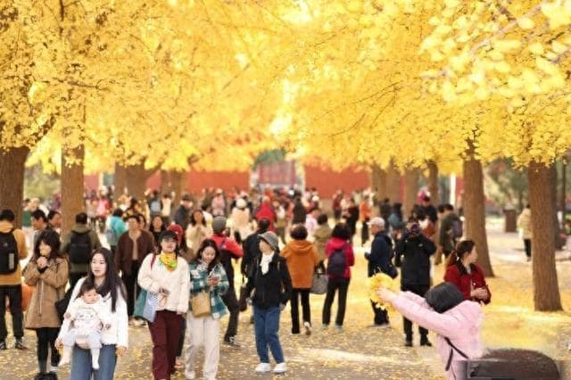 北京推进全域绿化彩化 今年森林覆盖率将达45%
