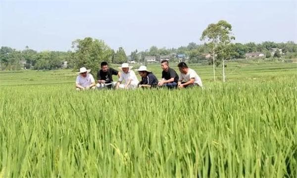 测土配方施肥的概念和实施步骤