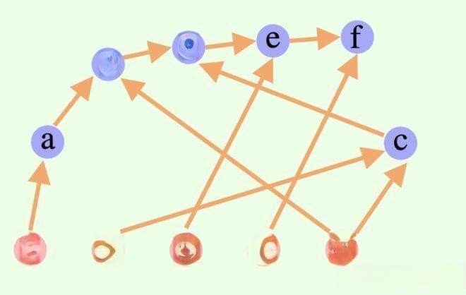 院士邀请｜大模型新研究：思维图DoT用数学理论确保AI逻辑一致性