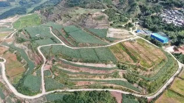 西双版纳州勐海县：生态修复让废弃矿山展新颜