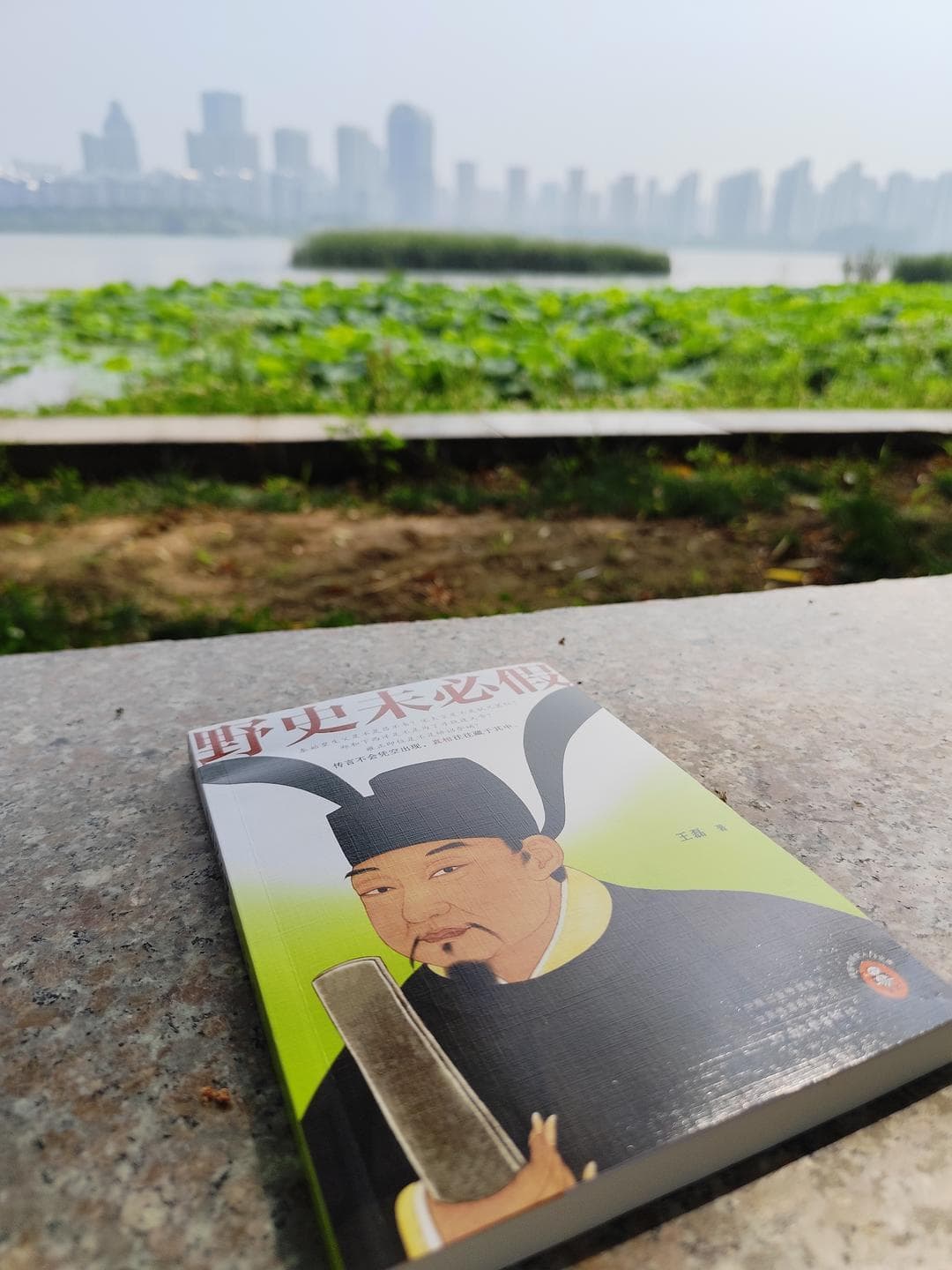 《野史未必假》——揭秘历史迷雾，真相或许就藏在那些“小道消息”里