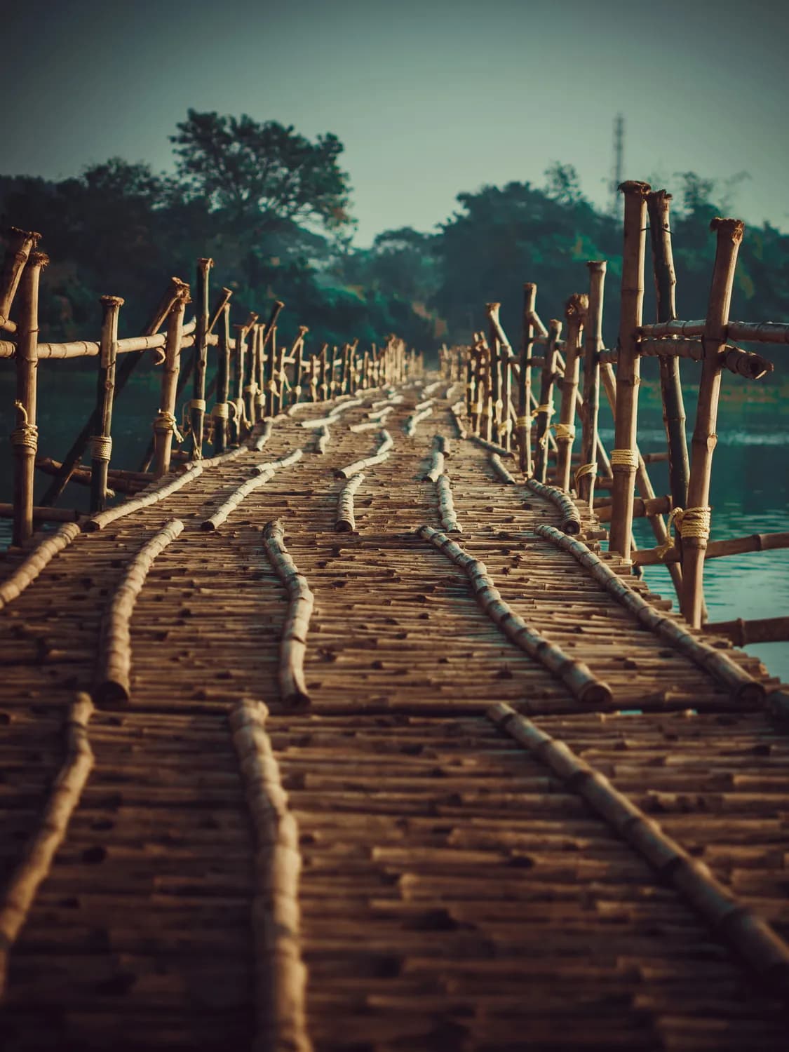 “玲珑”竹桥：一座荣获国际大奖的竹结构创新之作