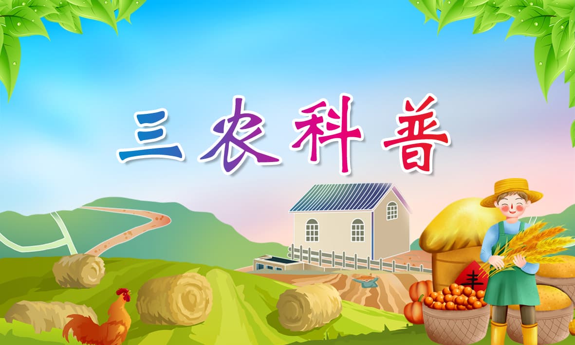 非洲猪瘟疫情防控知识详解