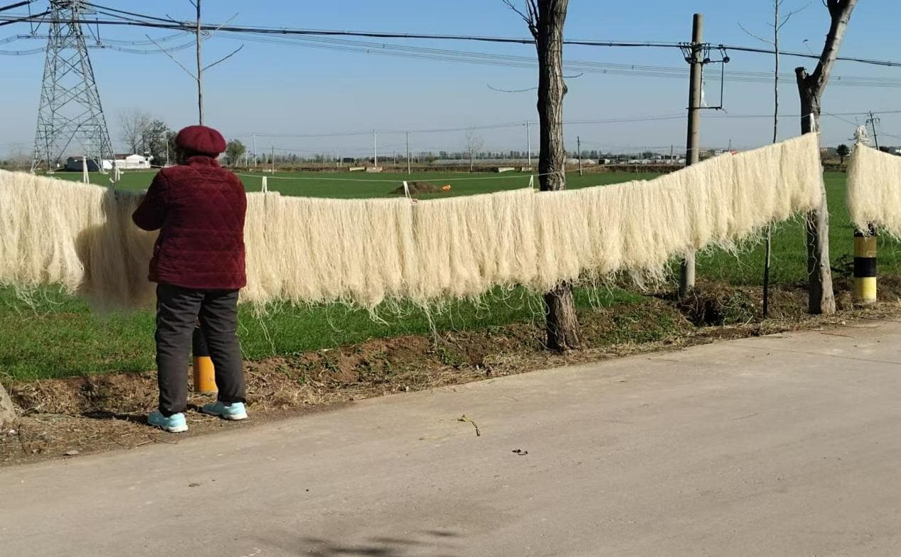 萧县新庄镇东阁村：红薯粉条加工忙，乡村振兴产业旺