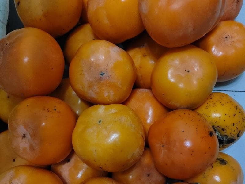 自制柿饼：果干机让美味触手可及