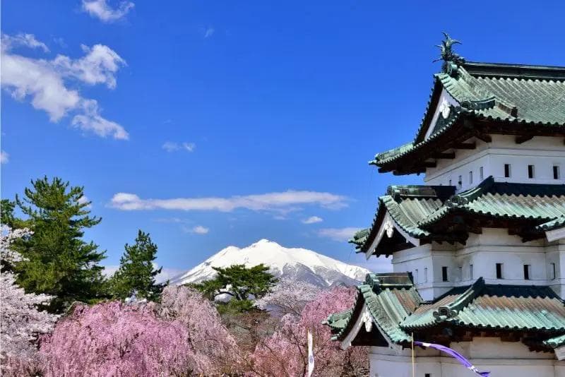 日本东北赏樱行程怎么排？7大推荐樱花景点&最新活动资讯马上看！
