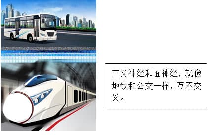 华拔牙：拔牙会伤神经吗？